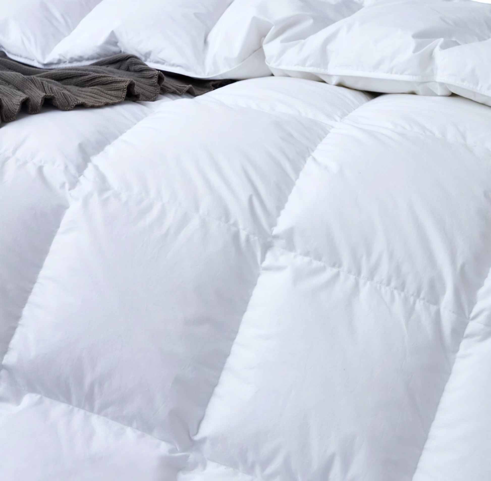 Deluxe Comfort Paplan - | Cyber Bazaar